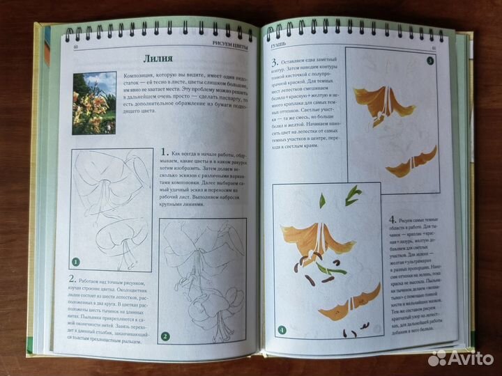 Книги, самоучители по рисованию Цветы Натюрморт