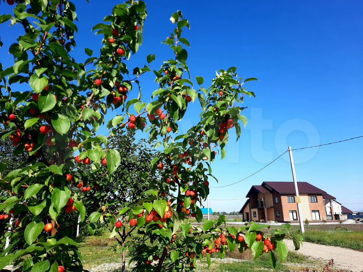 Участок 4,7 сот. (ИЖС)