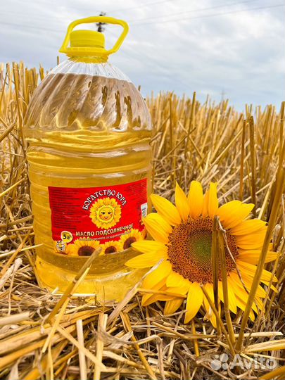 Масло подсолнечное