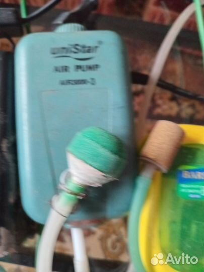 Аквариумное растение