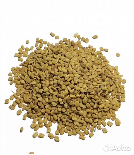 Пажитник (шамбала, хельба) семена 100гр