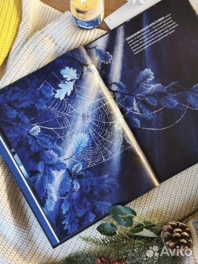 Все ли спят ночью Беатрикс Маннель, Каролина Бенц