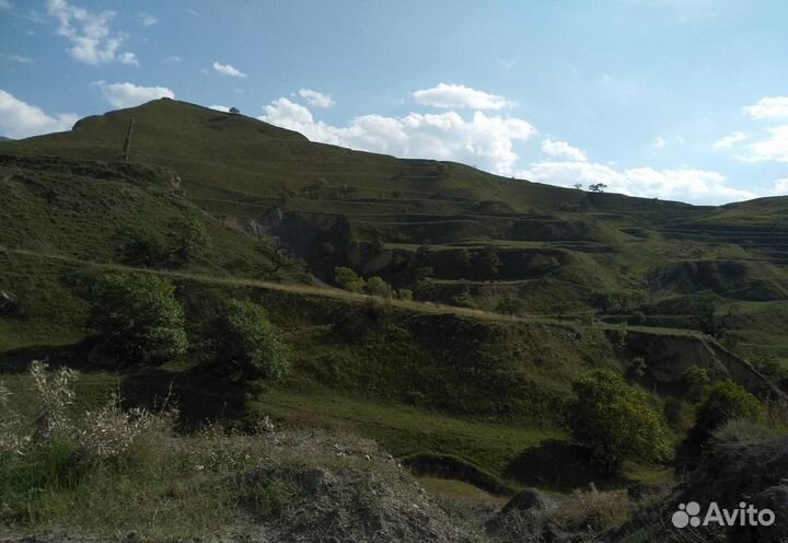 4.ноя 23. Огни и горы Дагестана(1М) /цо3045