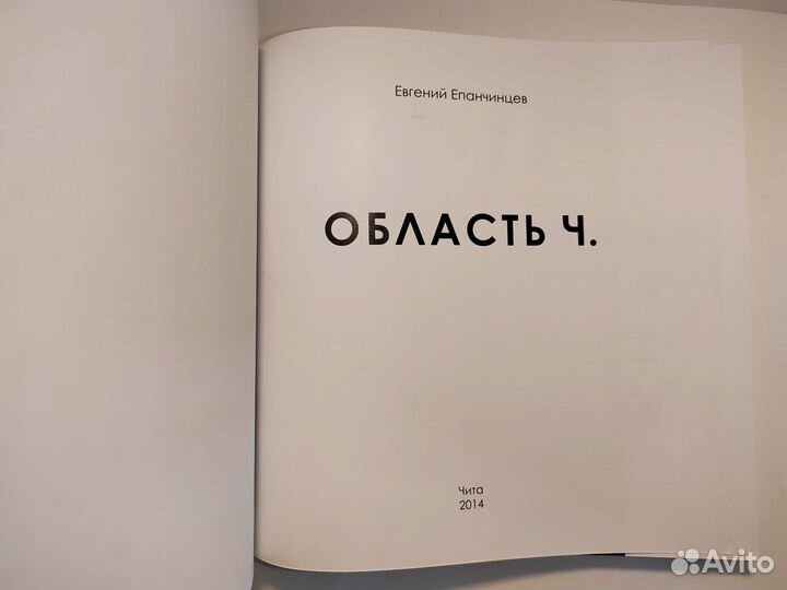 Е. Епанчинцев. Область Ч. 2014