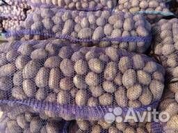 Картофель с доставкой