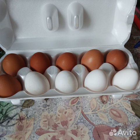 Куриные и перепелиные домашние яйца