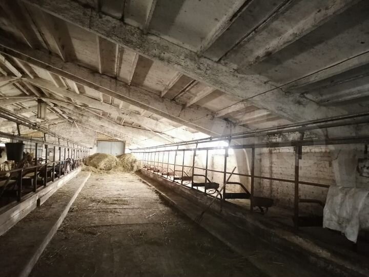 Участок 99999,99 га (СНТ, ДНП)