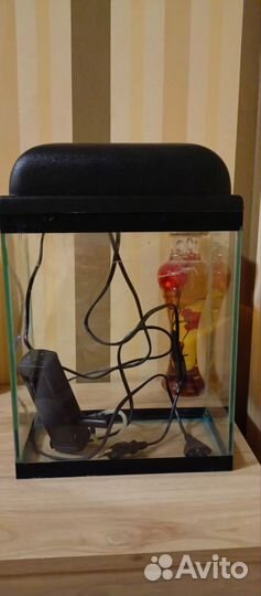 Аквариум 10 литров