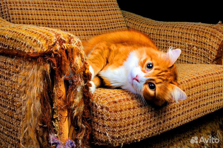 Восстановление, ремонт, перетяжка мебели под ключ