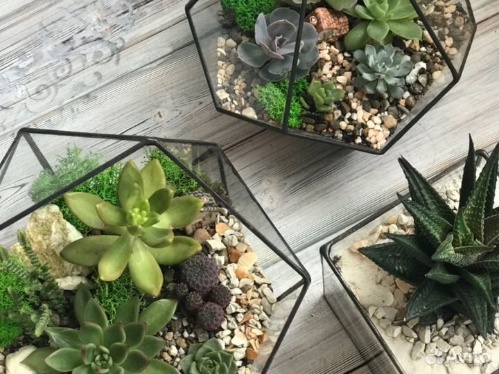 Флорариум на заказ