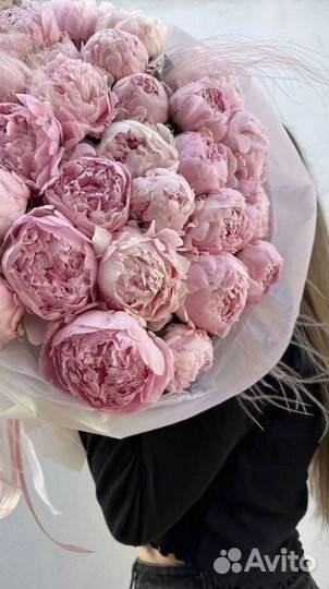 Большой букет из пионов. 31 штука