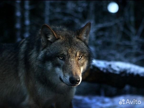 Картины любой сложности