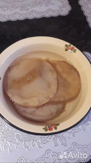 Чайный гриб