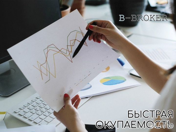 Профессиональный старт с B-Broker