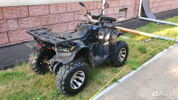 Avantis Hanter 200 new lux