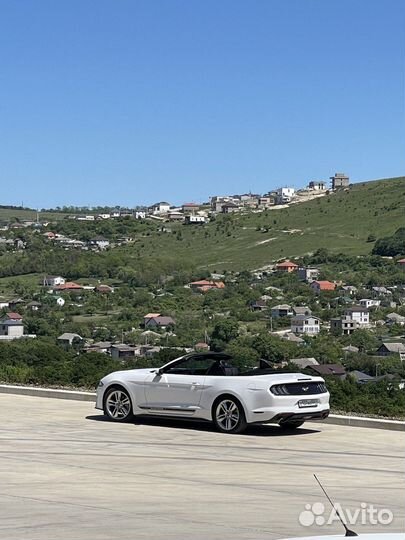 Аренда Mustang на фотосессию или свадьбу