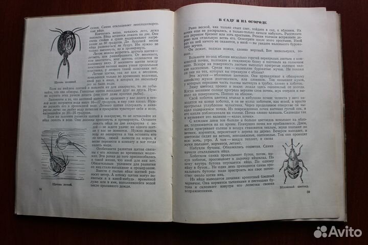 Плавильщиков Н.Н. Юным любителям природы.1953г