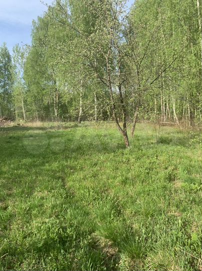 Участок 6 сот. (СНТ, ДНП)