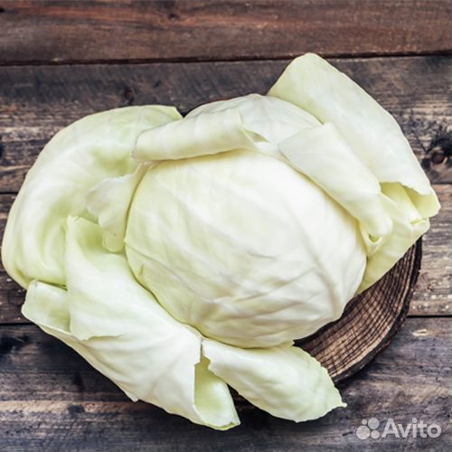 Капуста для засолки