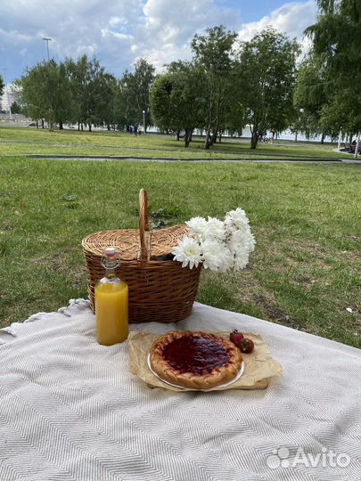 Предметы для пикника (корзина, посуда, плед)