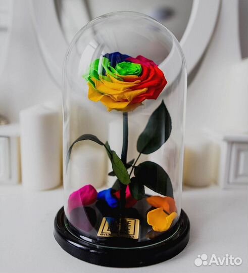 Роза в колбе. Неувядающая