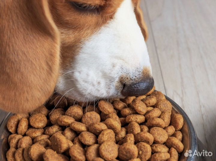 Сухой корм для собак 20 кг