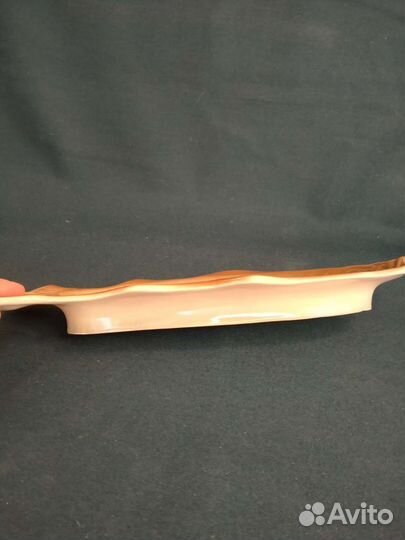 Селёдочница Рыба