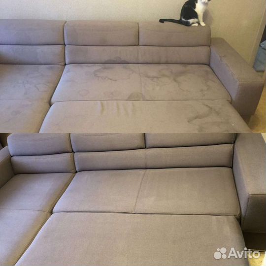 Аренда техники Karcher, робот мойщик окон