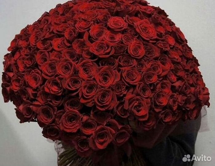 Высокие розы Доставка цветов