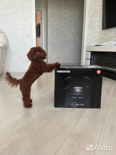 Массажер для ног Yamaguchi Hybrid с подогревом