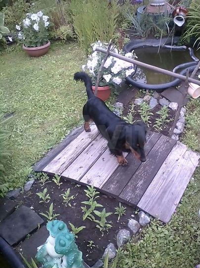 Участок 2,7 сот. (ИЖС)