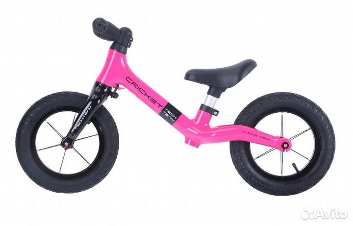 Tech Team Cricket 12