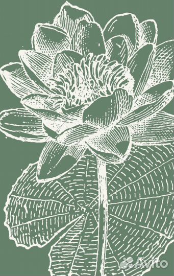 Мануальный массаж