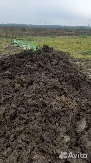 Навоз, перегной