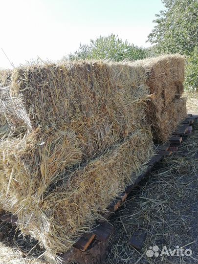 Сено в тюках