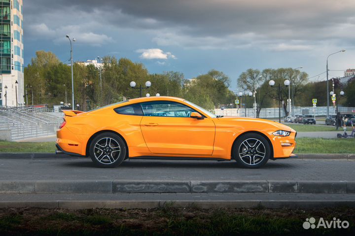 Ford Mustang 2.3 МТ, 2019, 50 960 км