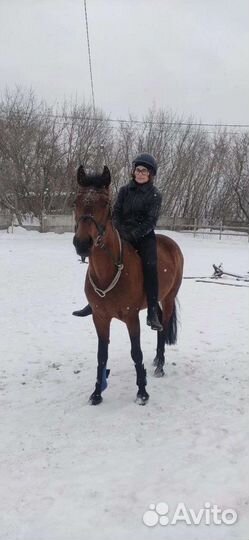 Занятия на лошадях