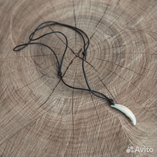 Клык волка (35-36 мм)