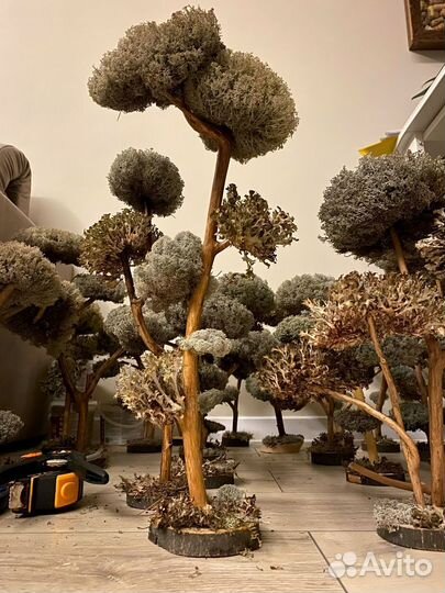 Дерево на кухню