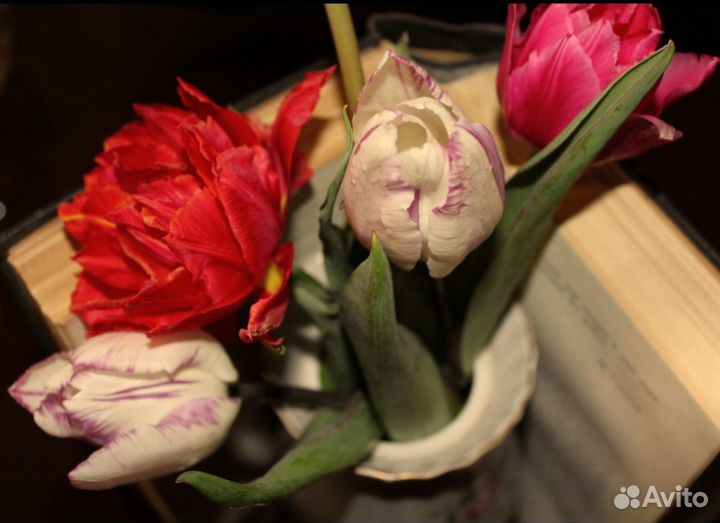 Луковицы тюльпанов (ассорти)