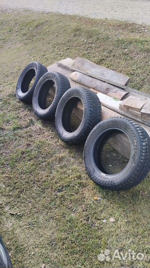 Matador MP 50 Sibir Ice 185/65 R15