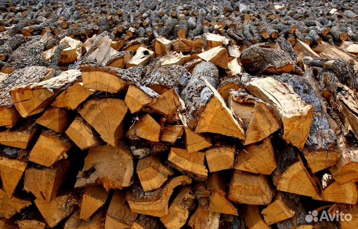 Дрова образцовые