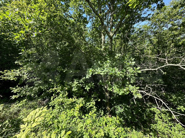 Участок 12 сот. (СНТ, ДНП)