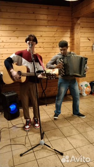 Музыканты на праздник(баянист, вокалист)