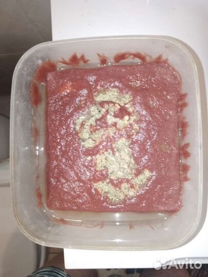 Живой корм для аквариумных рыбок