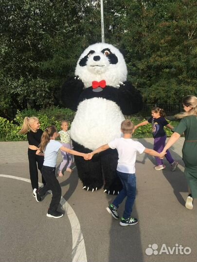 Белый медведь поздравление. Ростовые куклы. Аренда