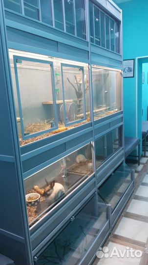 Стеллаж стойка для животных и птиц