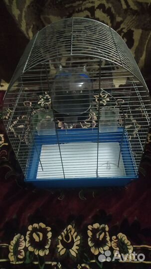 Клетка для попугая