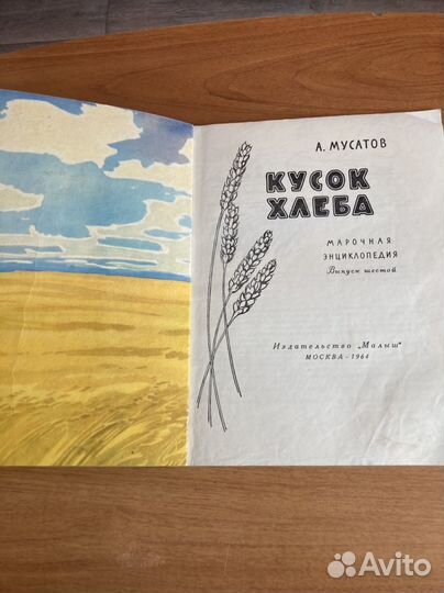 А. Мусатов: Кусок хлеба для младших классов