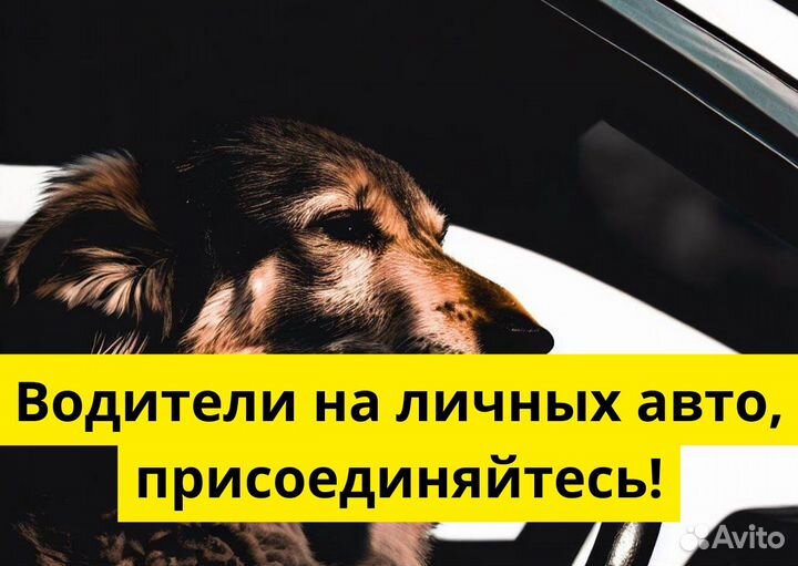 Подработка с личным авто в Яндекс Go
